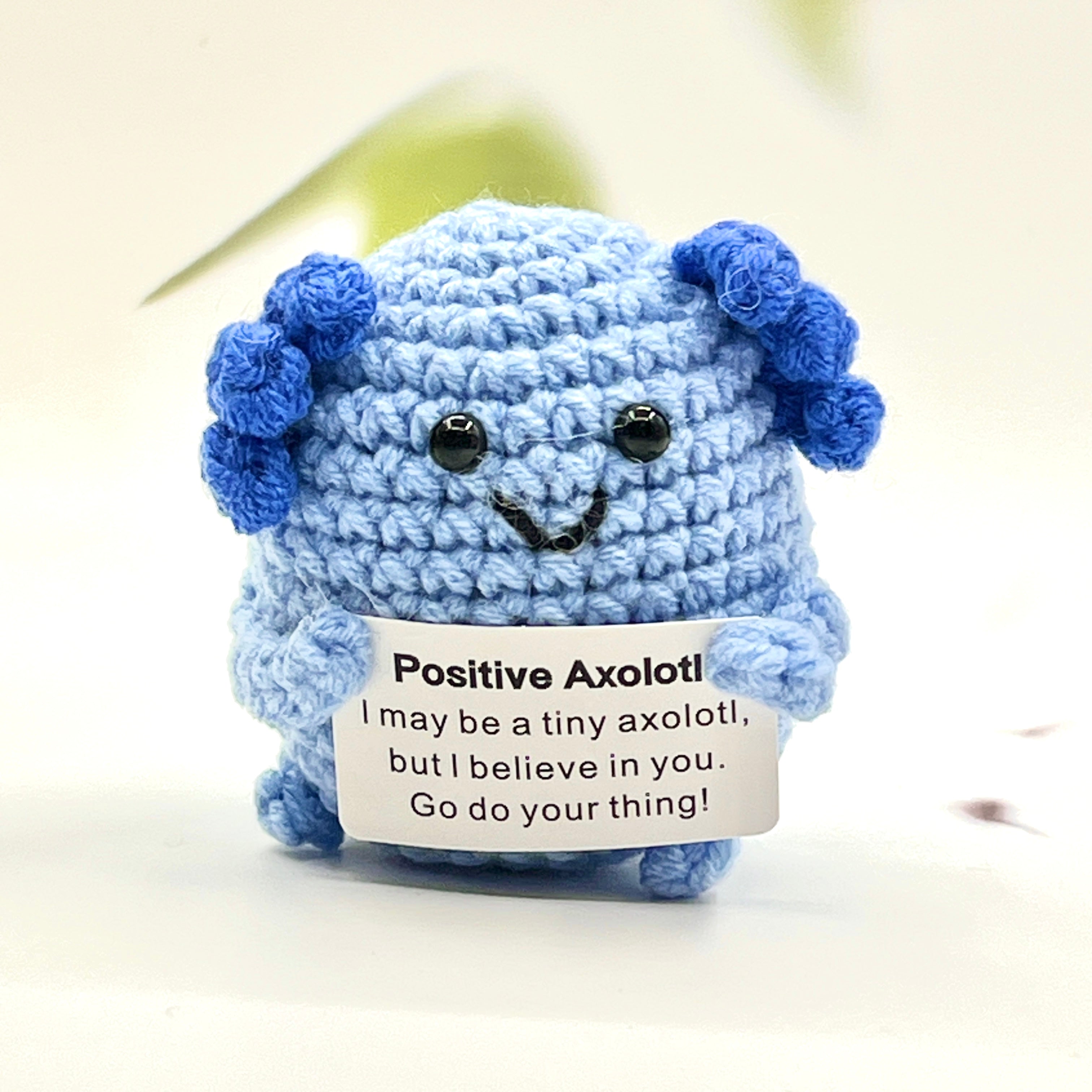 Positive Axolotl Crochet Pocket Hug – Tiny Treasure World