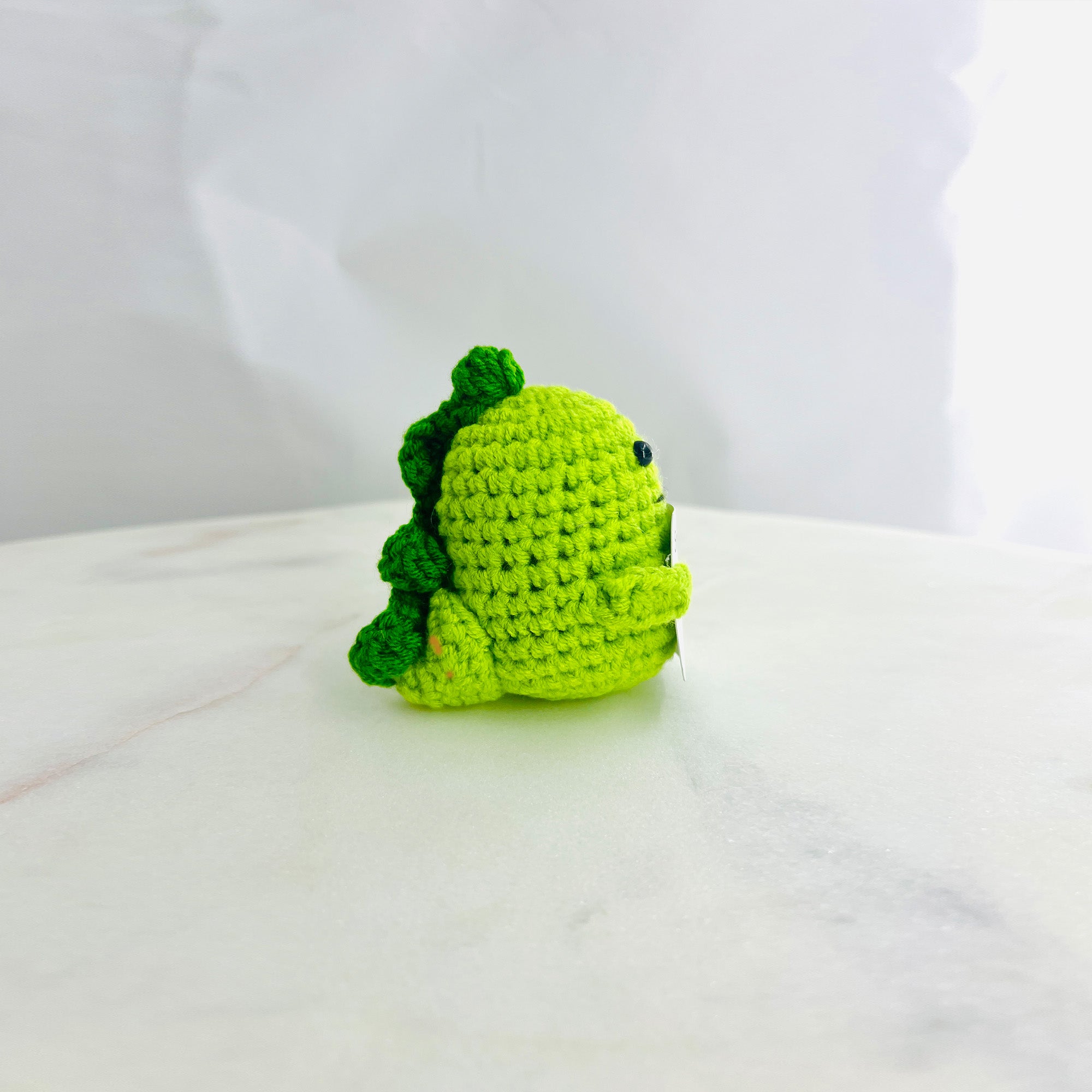 Positive Dinosaur Crochet Pocket Hug