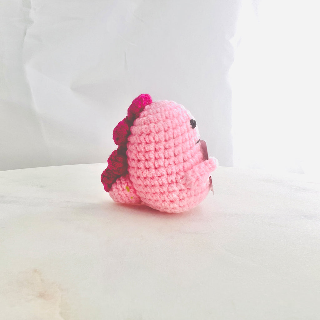 Positive Dinosaur Crochet Pocket Hug