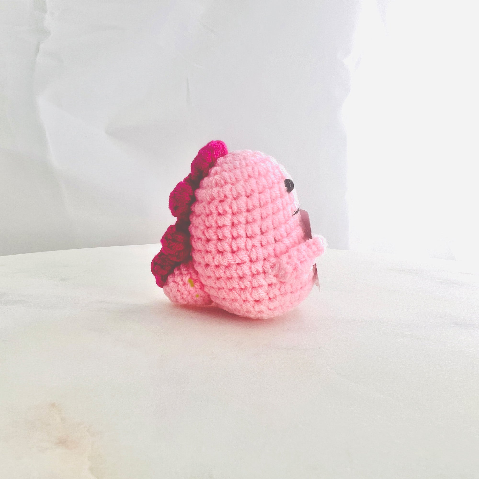 Positive Dinosaur Crochet Pocket Hug