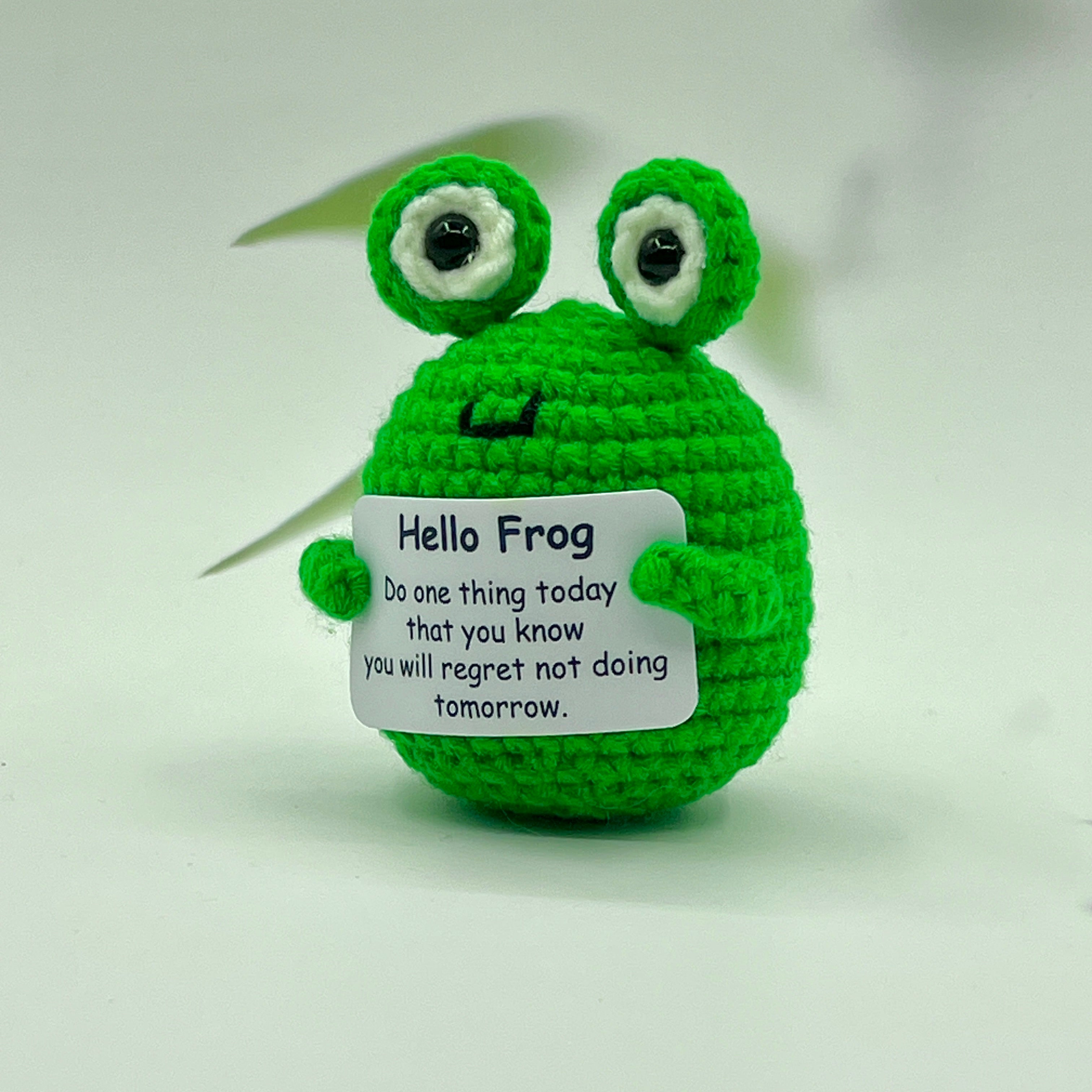 Positive Frog Pocket Hug