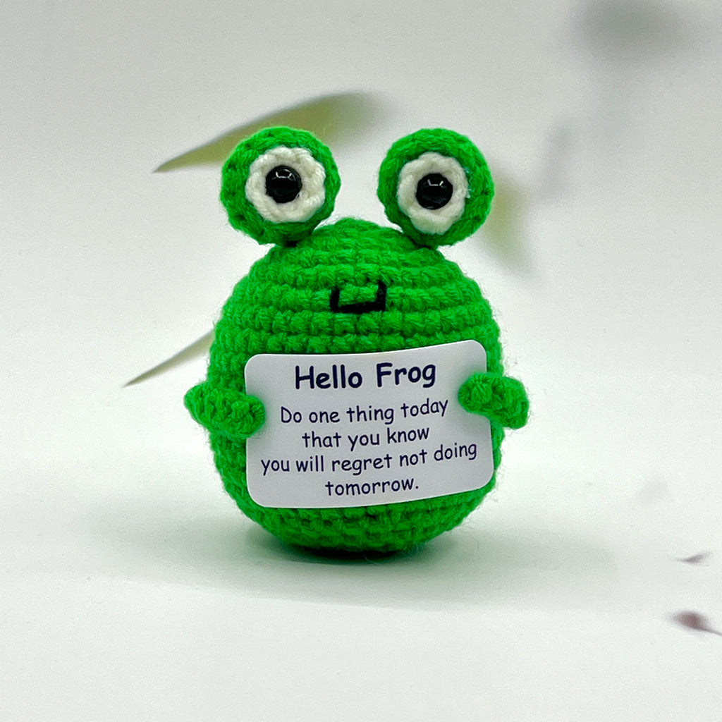 Positive Frog Pocket Hug