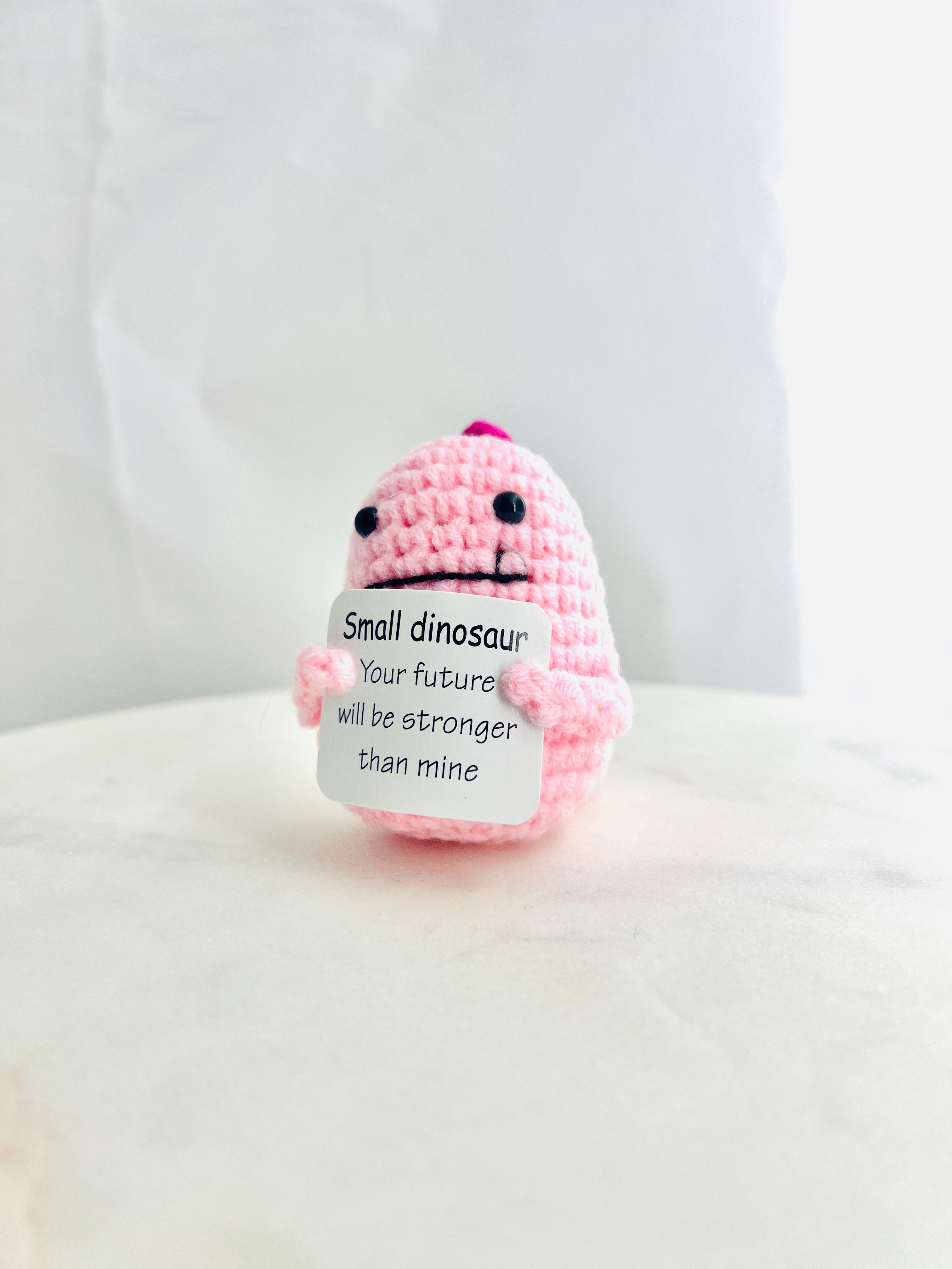 Positive Dinosaur Crochet Pocket Hug