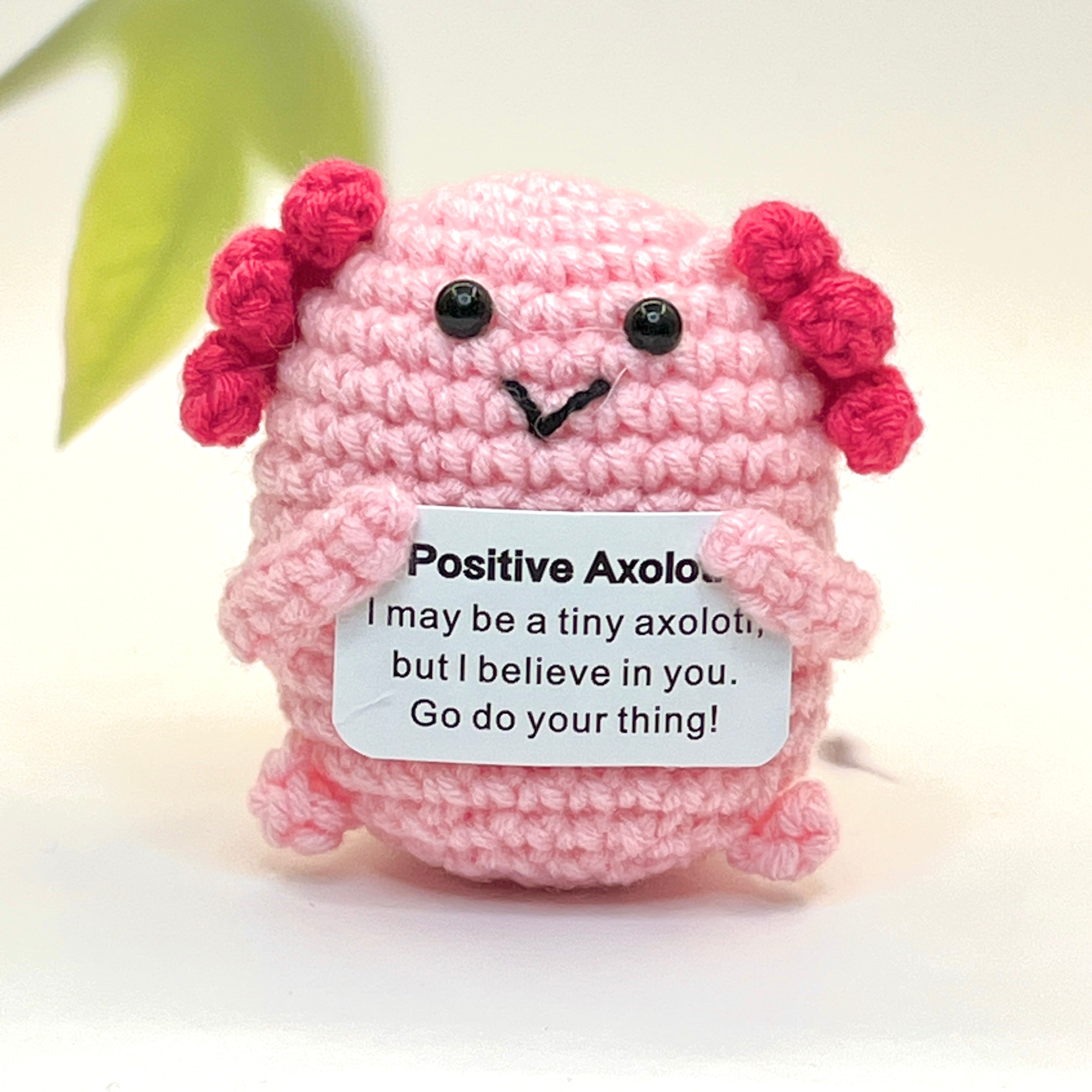 Positive Axolotl Crochet Pocket Hug