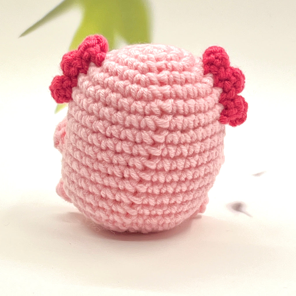 Positive Axolotl Crochet Pocket Hug