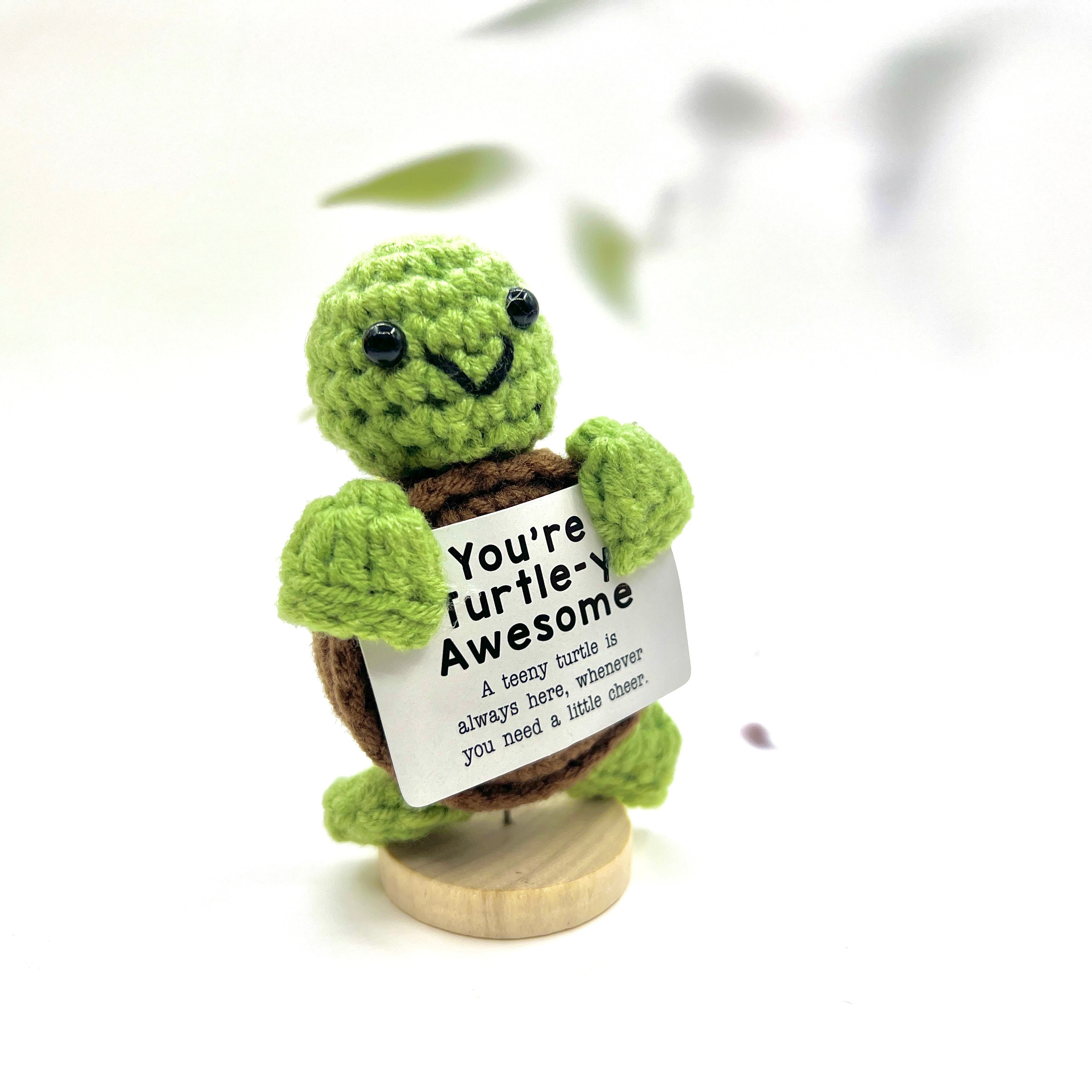 Positive Turtle Crochet Pocket Hug