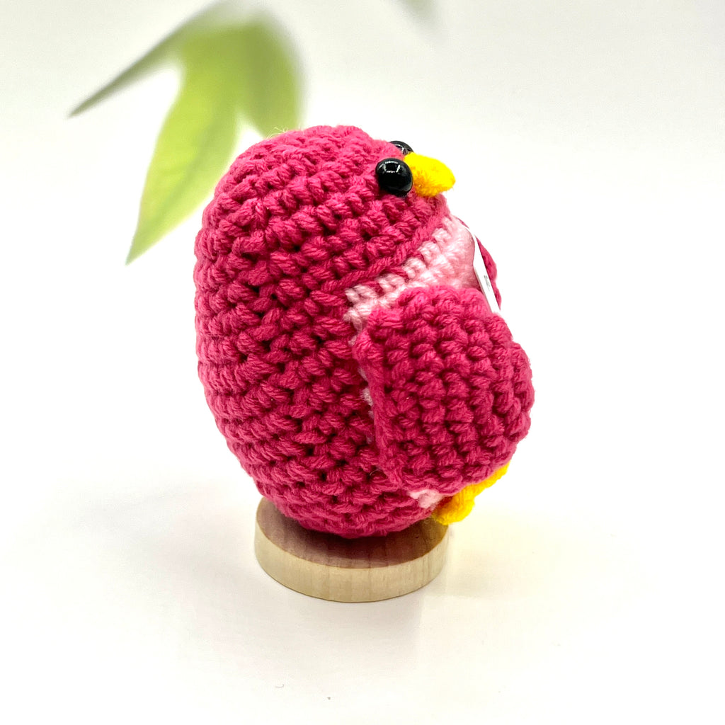 Positive Parrot Crochet Pocket Hug