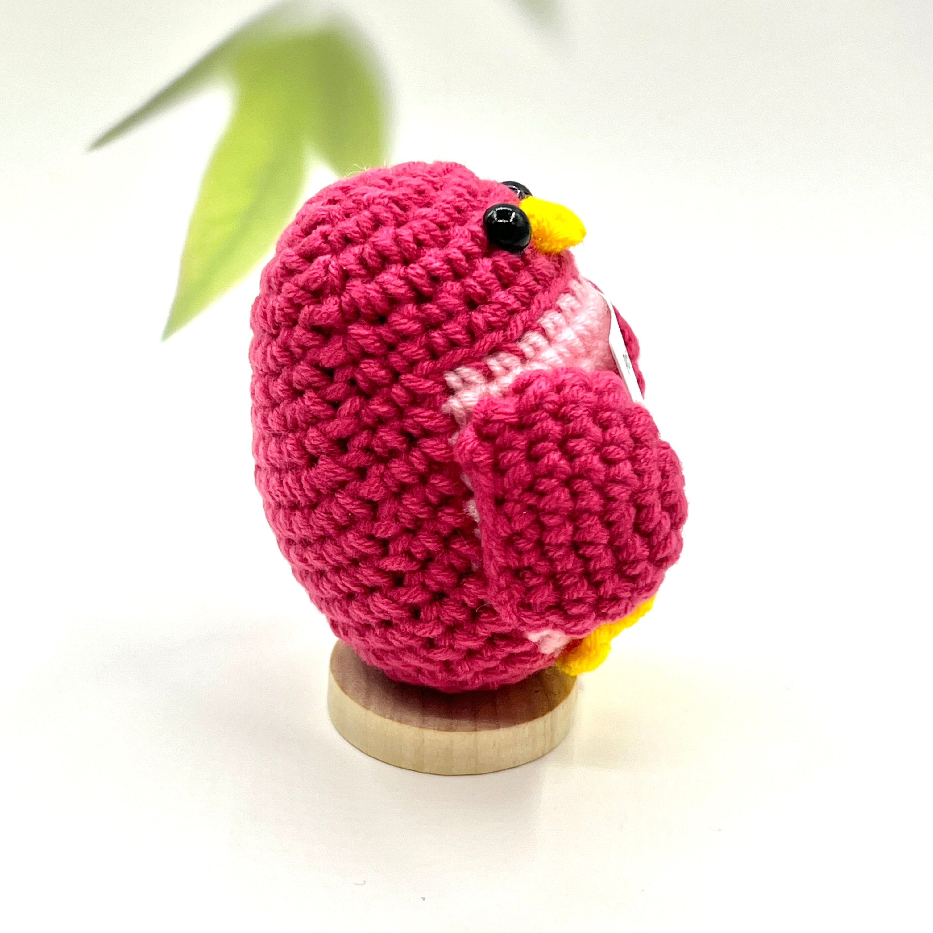 Positive Parrot Crochet Pocket Hug