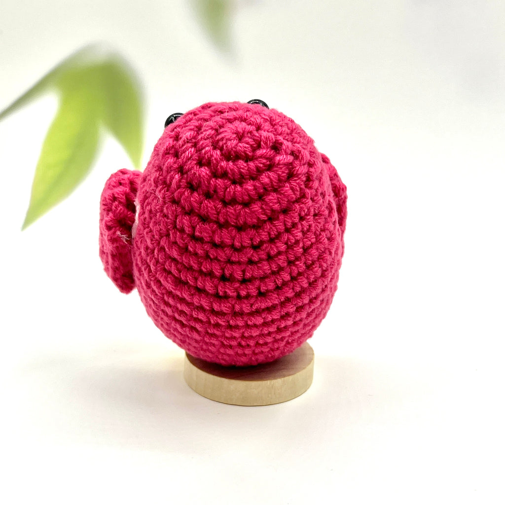 Positive Parrot Crochet Pocket Hug