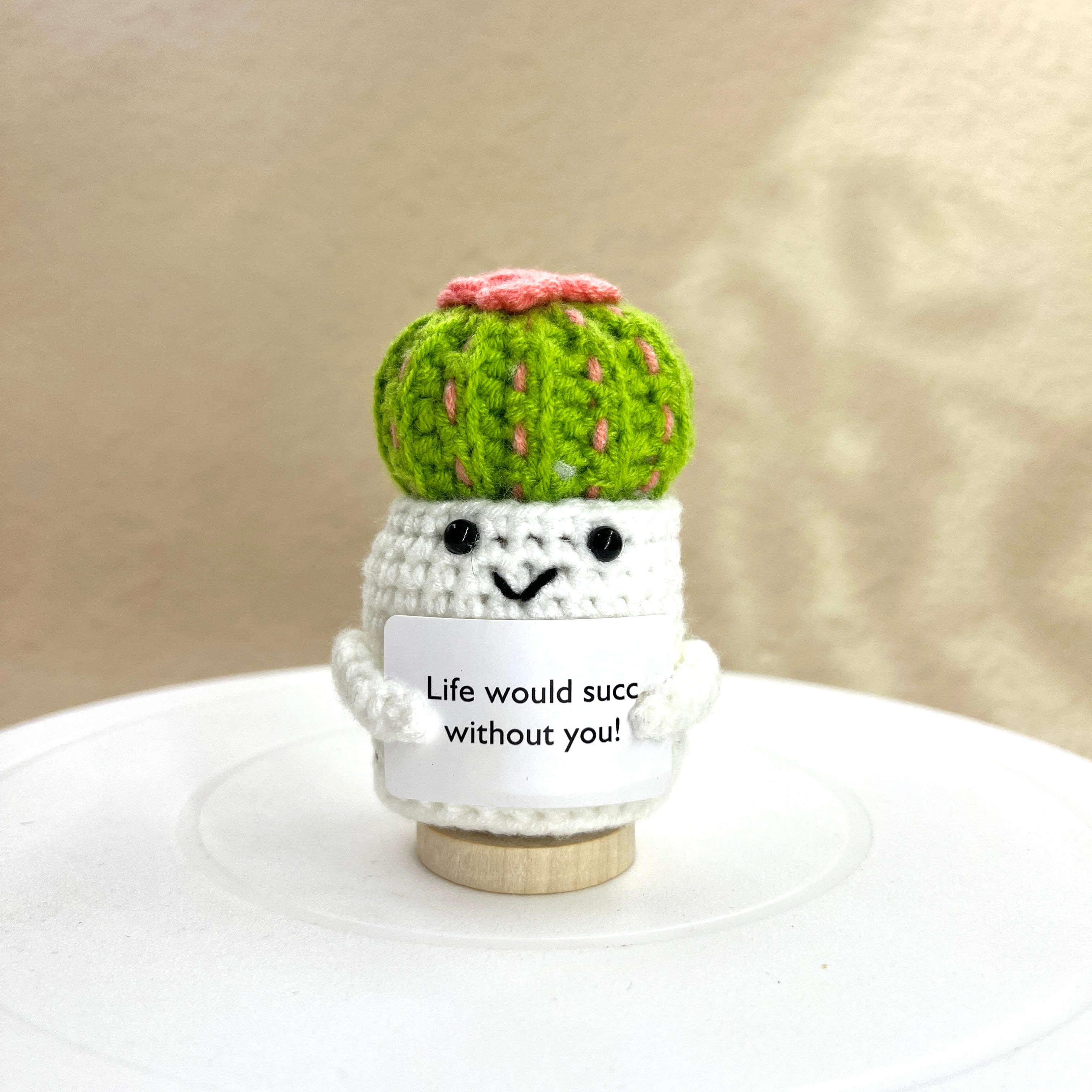 Positive Cactus Pocket Hug — A Tiny Reminder That You Matter