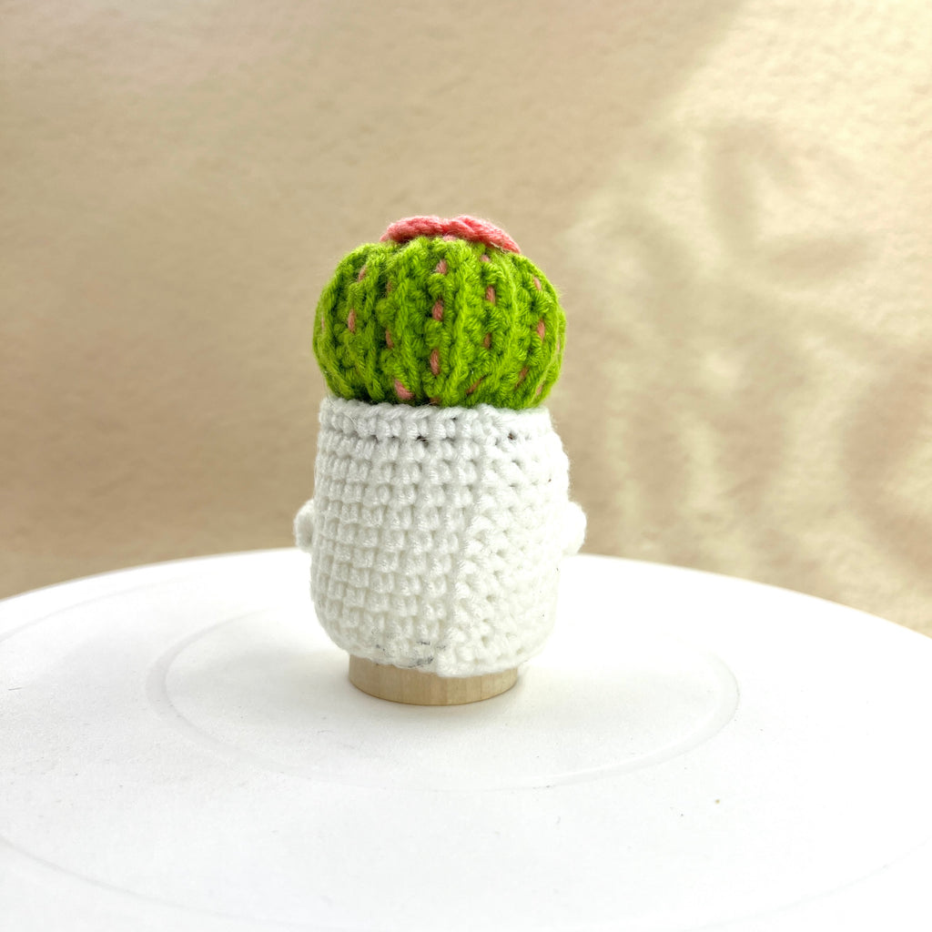 Positive Cactus Pocket Hug — A Tiny Reminder That You Matter