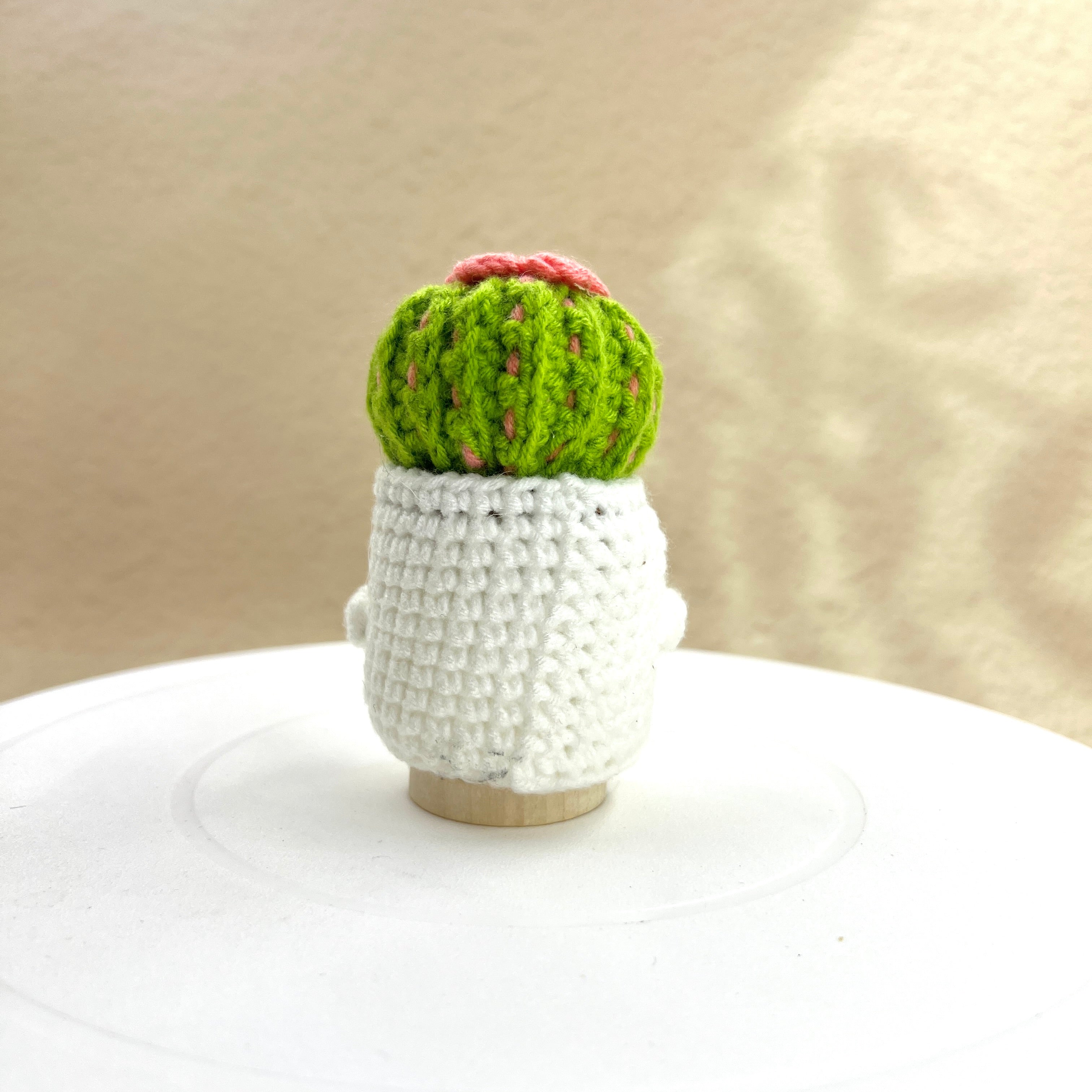 Positive Cactus Pocket Hug — A Tiny Reminder That You Matter